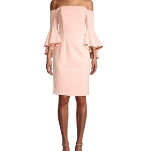 Just Me Brand Pink Off-The-Shoulder Ruffled Bell-Sleeve Dress